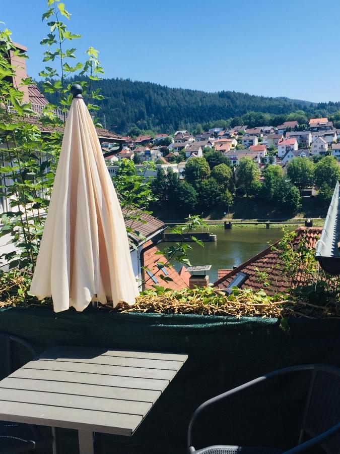 Natur Und Neckarblick Bei Heidelberg Apartment Hirschhorn Exterior photo