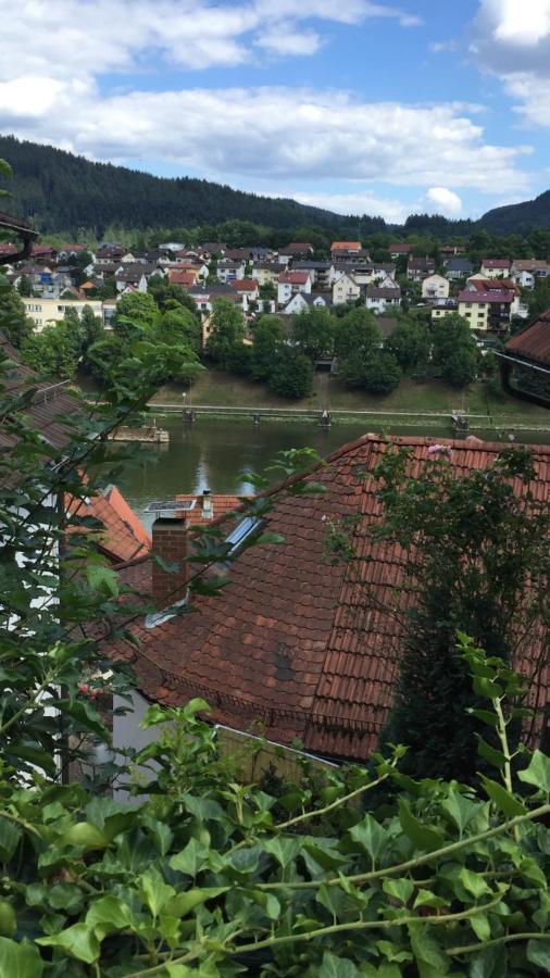 Natur Und Neckarblick Bei Heidelberg Apartment Hirschhorn Exterior photo