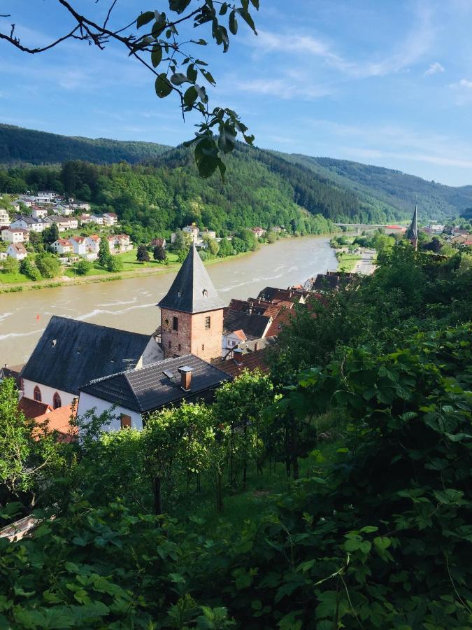 Natur Und Neckarblick Bei Heidelberg Apartment Hirschhorn Exterior photo