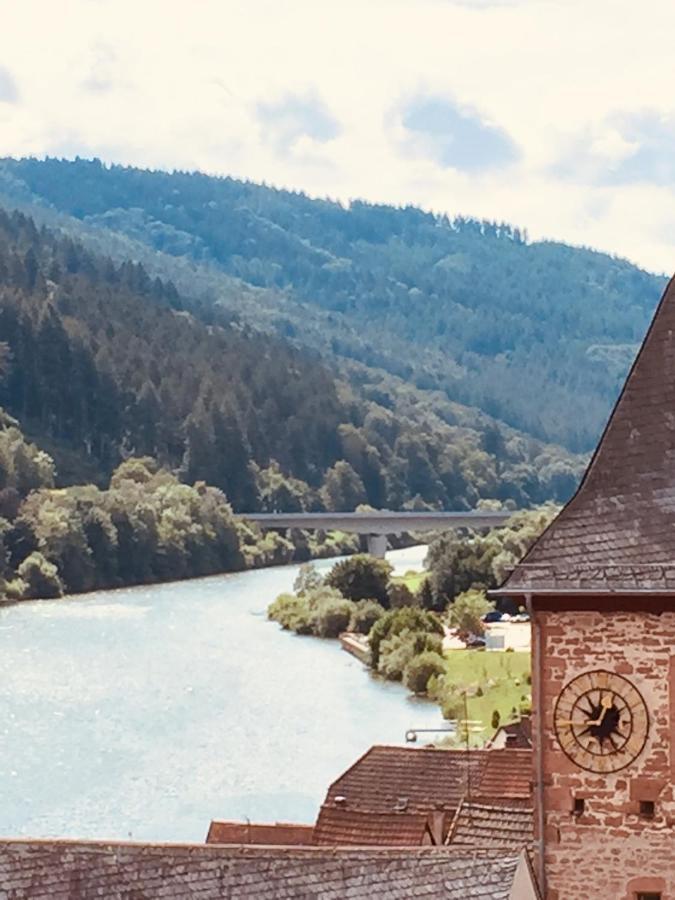 Natur Und Neckarblick Bei Heidelberg Apartment Hirschhorn Exterior photo