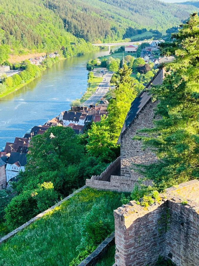 Natur Und Neckarblick Bei Heidelberg Apartment Hirschhorn Exterior photo