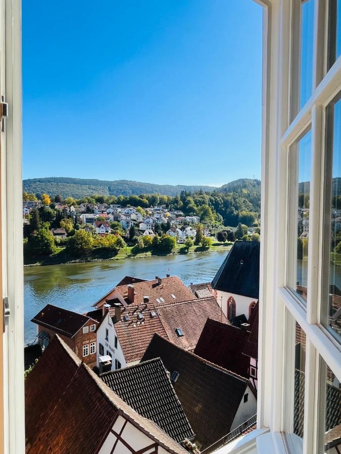 Natur Und Neckarblick Bei Heidelberg Apartment Hirschhorn Exterior photo