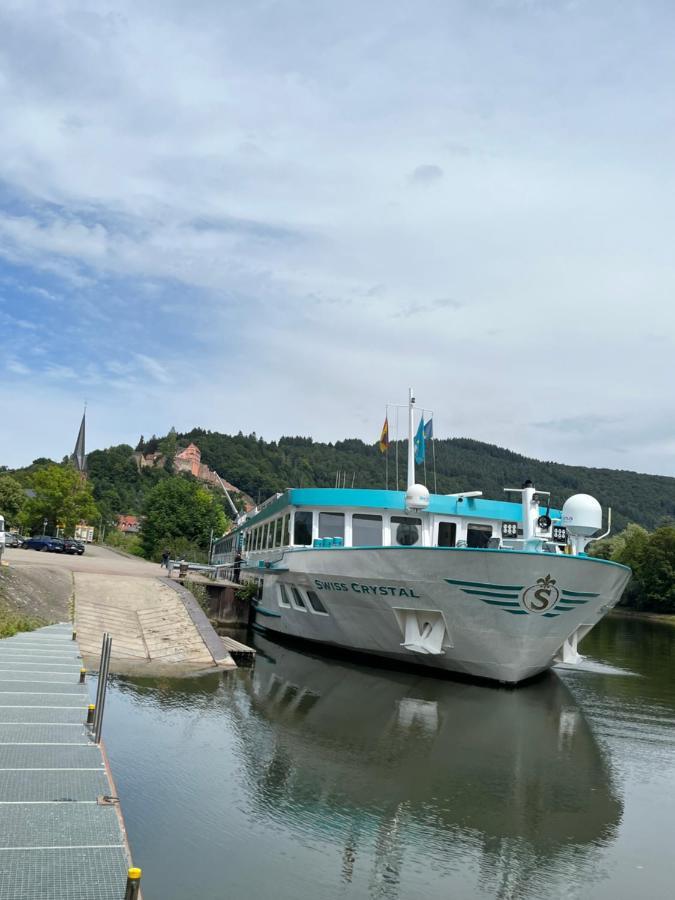 Natur Und Neckarblick Bei Heidelberg Apartment Hirschhorn Exterior photo