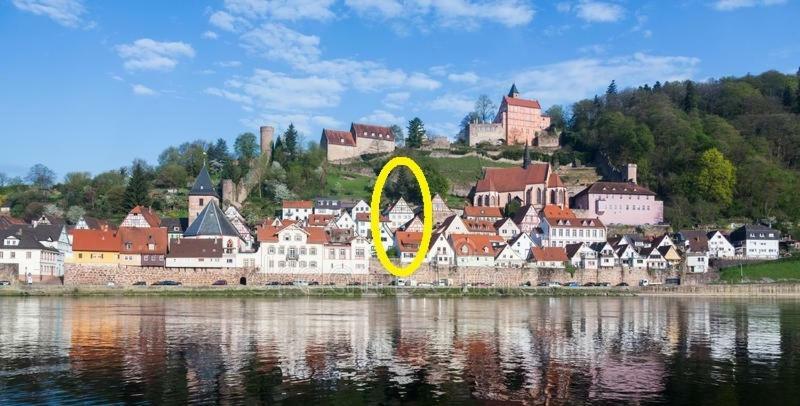 Natur Und Neckarblick Bei Heidelberg Apartment Hirschhorn Exterior photo