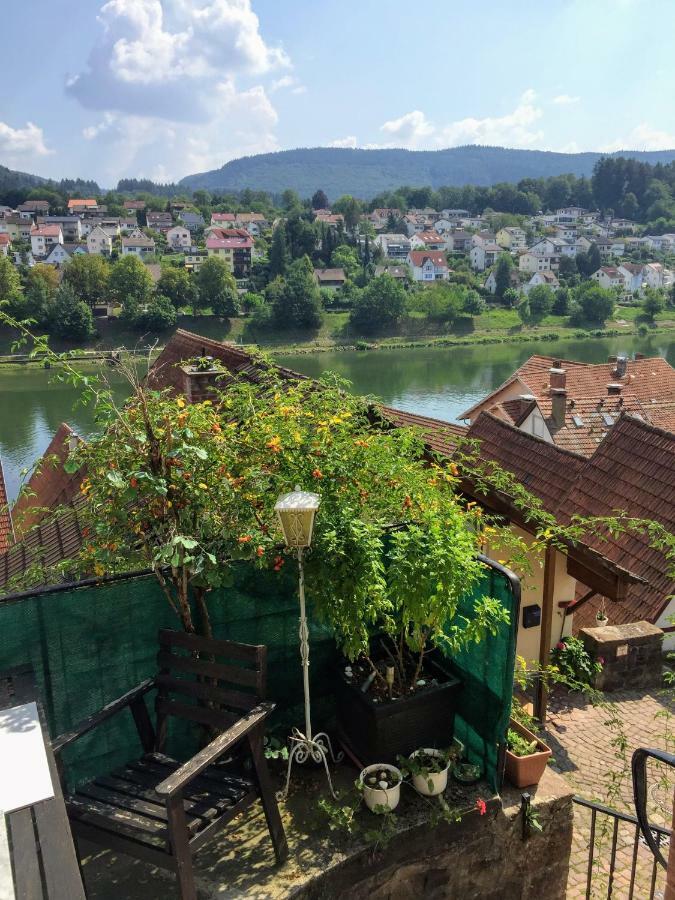 Natur Und Neckarblick Bei Heidelberg Apartment Hirschhorn Exterior photo