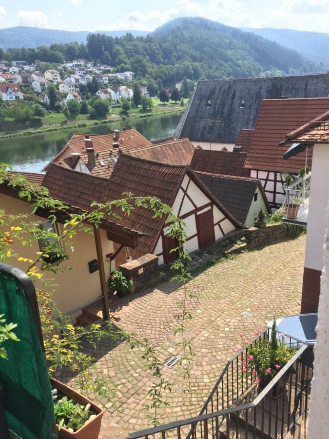 Natur Und Neckarblick Bei Heidelberg Apartment Hirschhorn Exterior photo